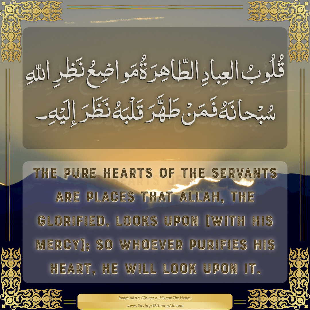 The pure hearts of the servants are places that Allah, the Glorified,...